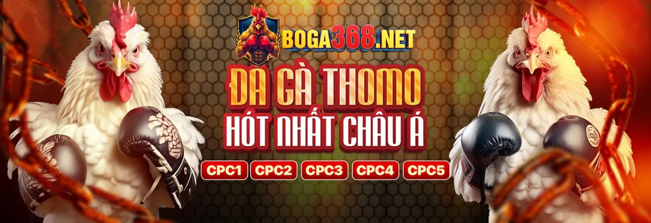 Tin tức yo888 win mới nhất