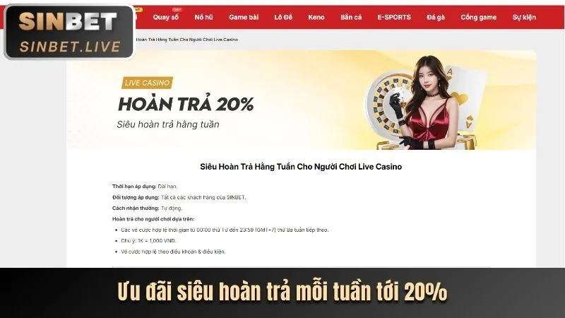 Bàn Baccarat, Blackjack, Roulette và Poker tại yo888 win